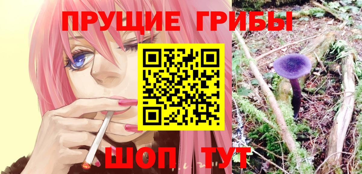 Галлюциногенные грибы прущие грибы Карпинск